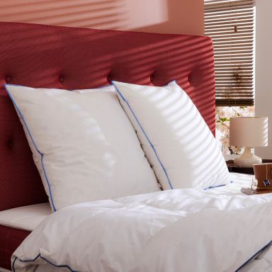Lot de 2 oreillers moelleux/ferme duvet de canard Someo