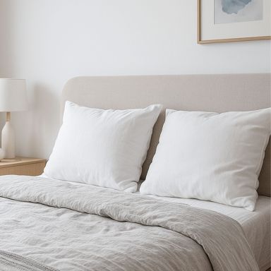 Lot de 2 oreillers anti-punaises et anti-insectes moelleux enveloppe microfibre