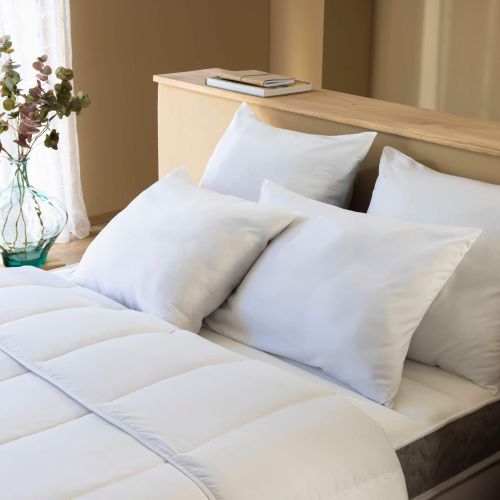 Oreiller 550 gr moelleux 60x60