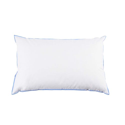 Lot de 2 oreillers moelleux duvet de canard anti-allergènes Someo