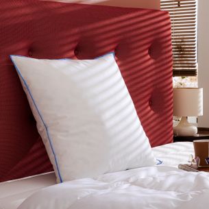 Oreiller ferme duvet de canard Someo