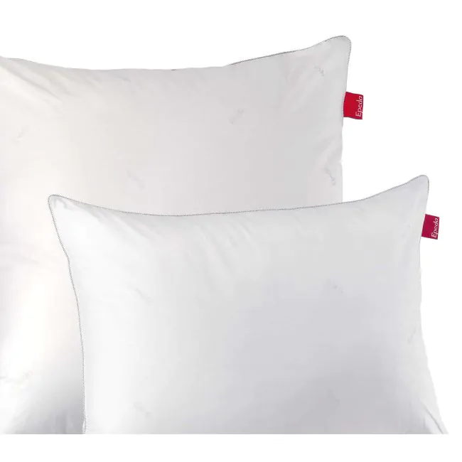Pillow Cousin lit Oreiller Moelleux Plat Rectangulaire + Extra TAIE  d'oreiller Aloe Vera Lot de 2 Oreiller Confort de Sommeil A327 - Cdiscount  Maison