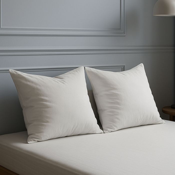 Lot de 2 oreillers grand confort 60x60