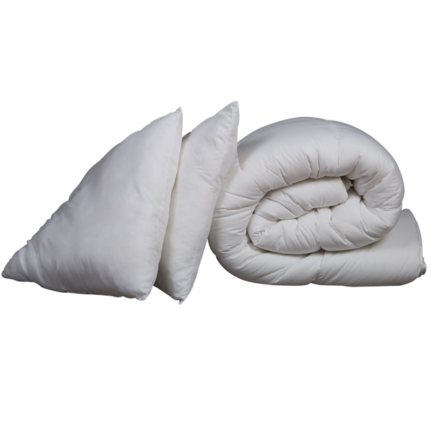 Pack couette hiver 600g et oreiller luxe anti-acariens Someo
