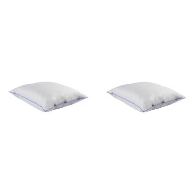 Lot de 2 oreillers moelleux/ferme duvet de canard Someo