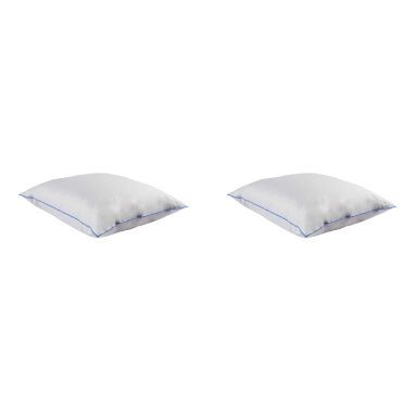 Lot de 2 oreillers moelleux duvet de canard Someo