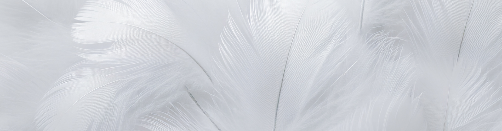 Subscribe to newsletter image background