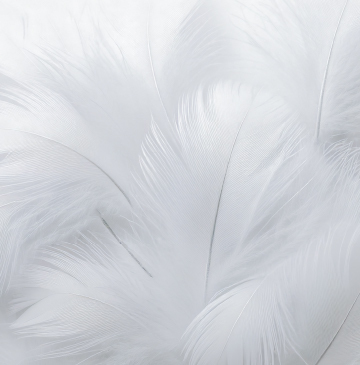 Subscribe to newsletter image background